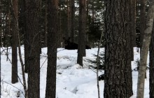 © 2025 Sebastian Christensen