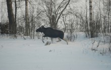 © 2025 Sebastian Christensen