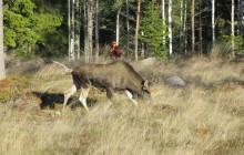 © 2025 Caj NordstrÃ¶m