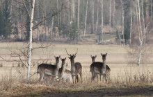 &copy; 2026 Paul-Erik Gerkman