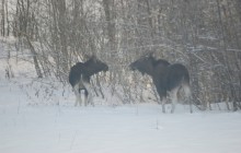 © 2025 Sebastian Christensen