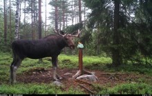 © 2025 Niklas Christensen