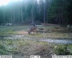 © 2023 Harri Hassinen