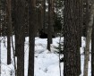 © 2023 Sebastian Christensen