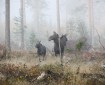 © 2023 Caj Nordström