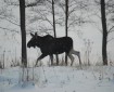 © 2023 Sebastian Christensen