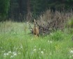 © 2023 Markku Laulumaa