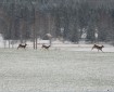 © 2023 Sebastian Christensen